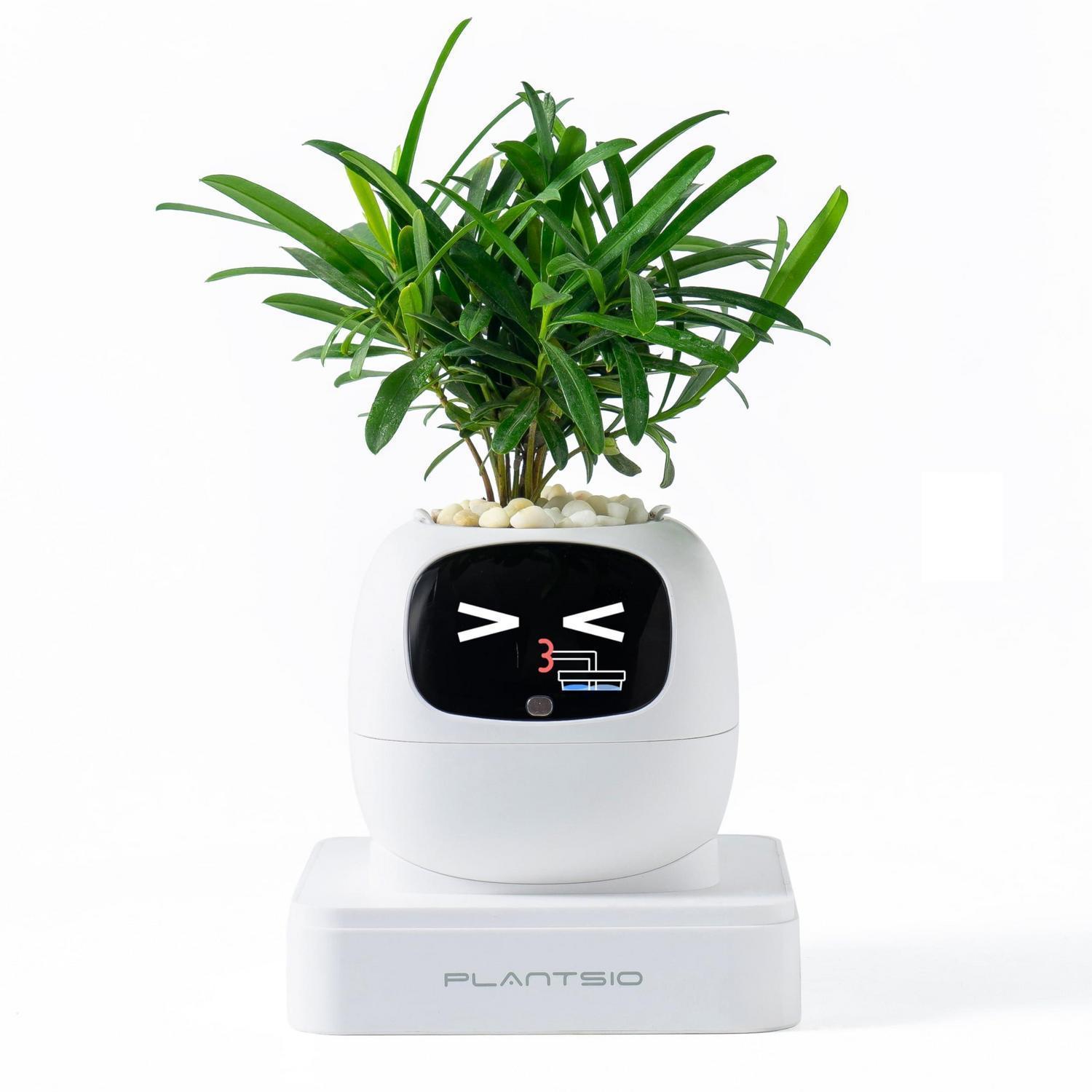 Smarter Blumentopf Mit Ki-ausdruck, Interaktive Pflanzenpflege, Elfenbein