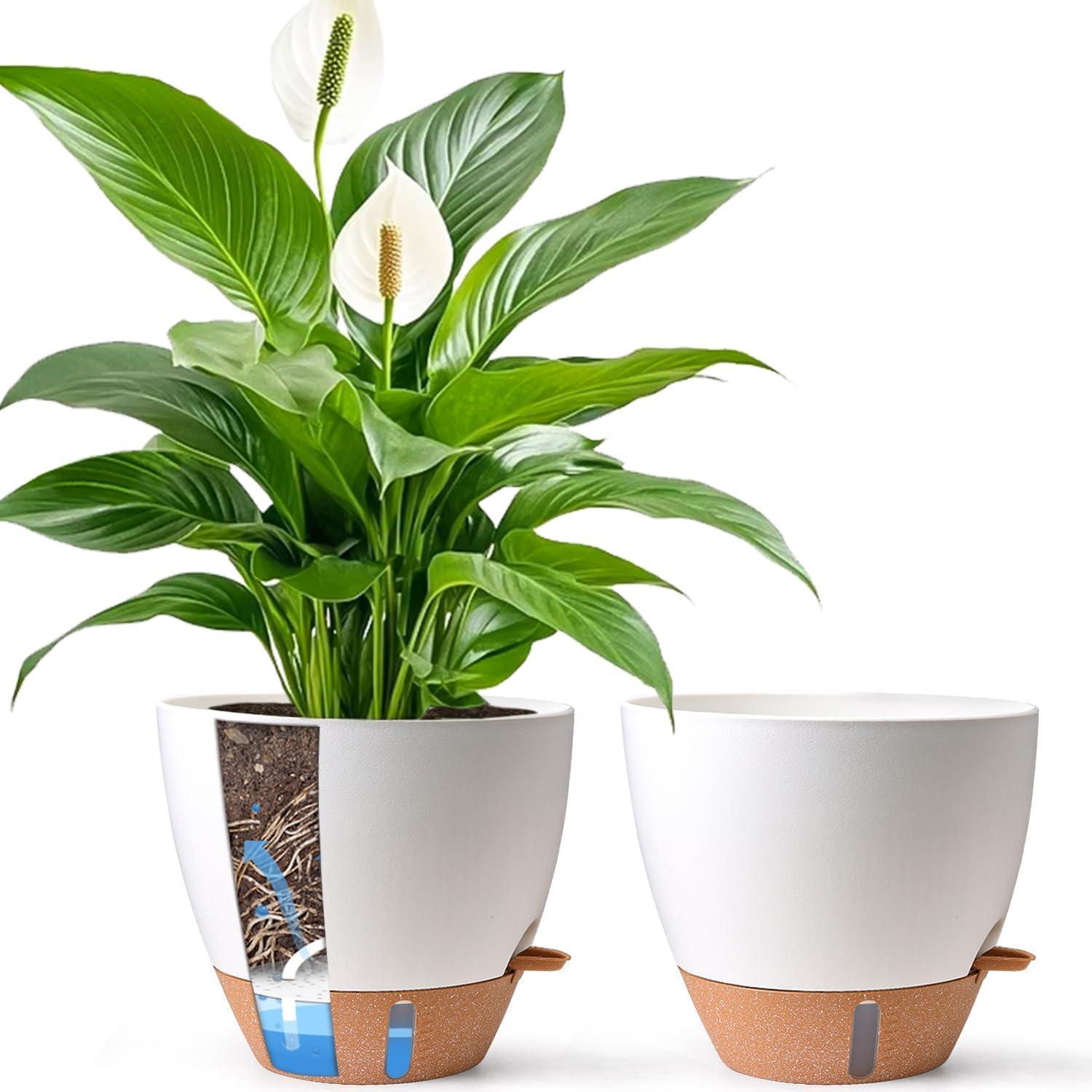 Selbstbewässernder Blumentopf 30cm Mit Wasserstandsanzeige, 2er Set, Weiß