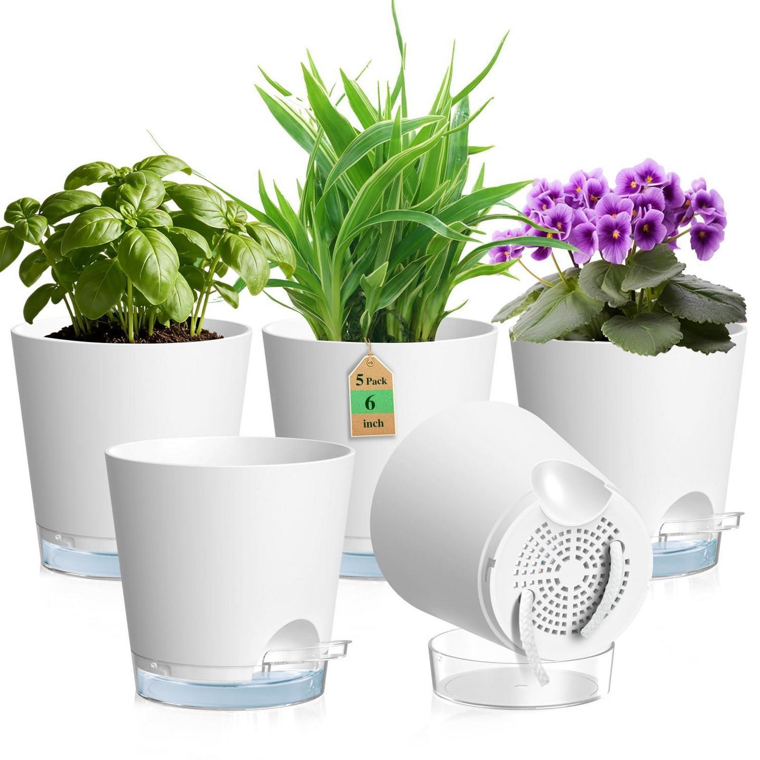 5er Set Blumentöpfe Selbstbewässernd Ø 15 Cm Mit Wasserstandsanzeige & Docht
