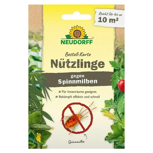 Neudorff Bestell-Karte Nützlinge Gegen Spinnmilben 10 m²