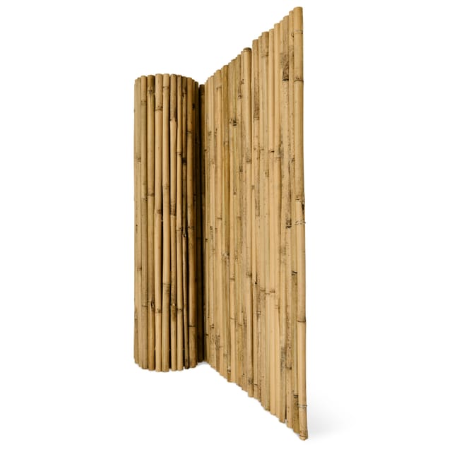 Sol Royal SolVision B38 Sichtschutzzaun 140x250cm Bambus
