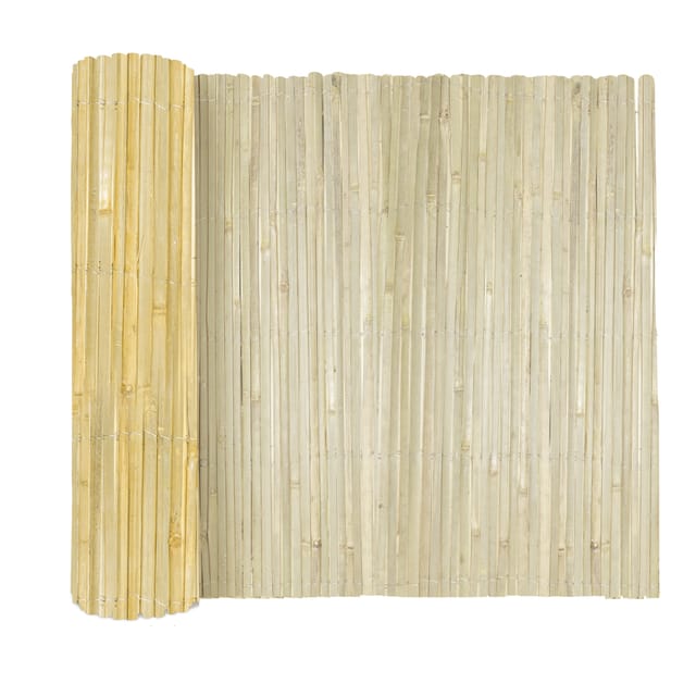 Sol Royal SolVision B33 Sichtschutzzaun 150x600cm Bambus Hell
