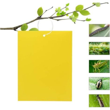 50 Stück Insektenfallen, Doppelseitiges Klebepapier, Gelbe Klebepapiere Für Weiße Fliegen Und Blattläuse (15 Cm X 20 Cm)