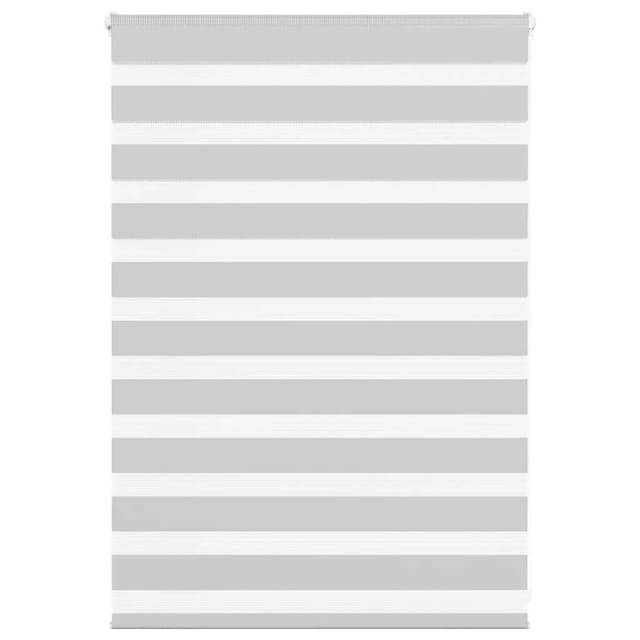 vidaXL Doppelrollo Hellgrau 110x100 cm Stoffbreite 105,9 cm Polyester 4014419