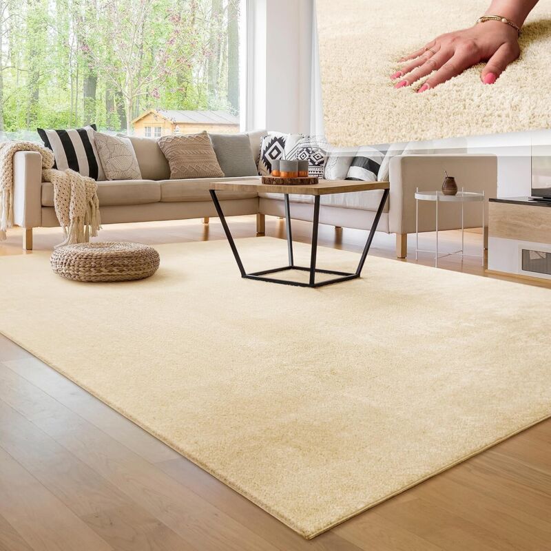 Waschbarer Hochflorteppich 120 X 200 Cm – Kurzer, Weicher Flor – Strapazierfähig – Geeignet Für Fußbodenheizung