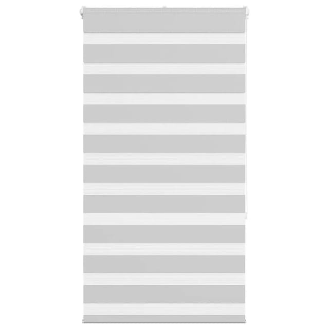 vidaXL Doppelrollo Hellgrau 70x150 cm Stoffbreite 65,9 cm Polyester 4014437