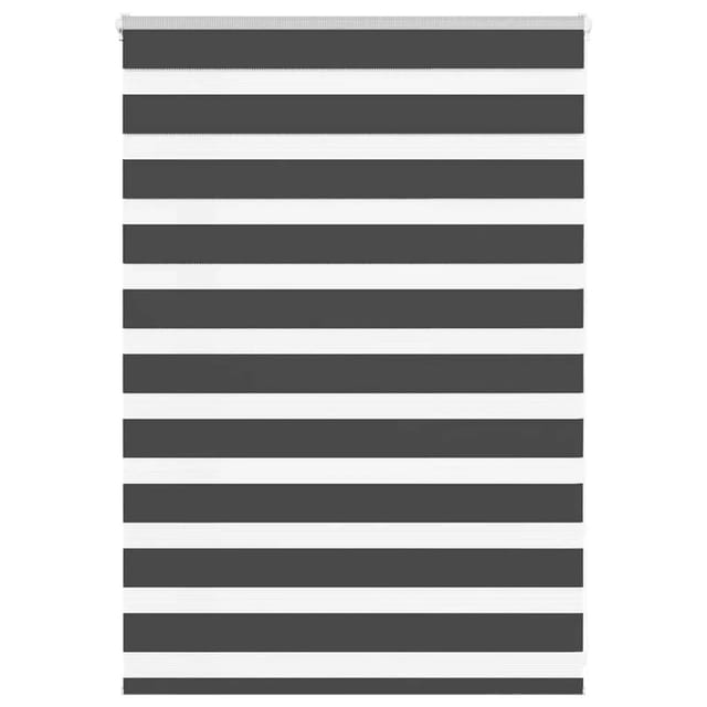 vidaXL Doppelrollo Schwarz 100x100 cm Stoffbreite 95,9 cm Polyester 4014209