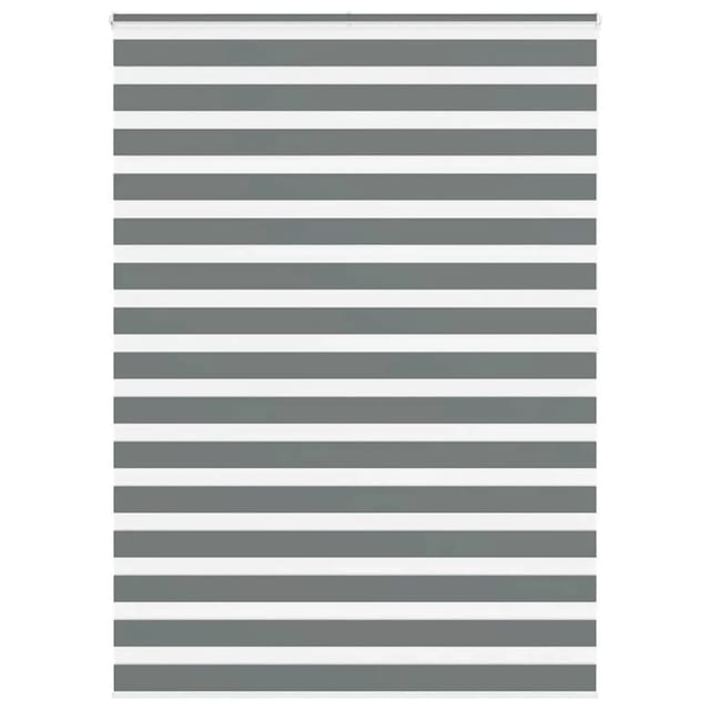vidaXL Doppelrollo Dunkelgrau 160x200 cm Stoffbreite 155,9 cm Polyester 4014169