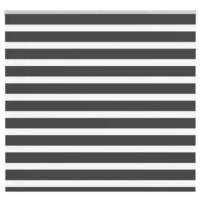 vidaXL Doppelrollo Schwarz 160x150 cm Stoffbreite 155,9 cm Polyester 4014247