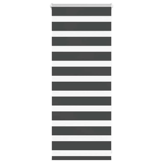 vidaXL Doppelrollo Schwarz 65x100 cm Stoffbreite 60,9 cm Polyester 4014202