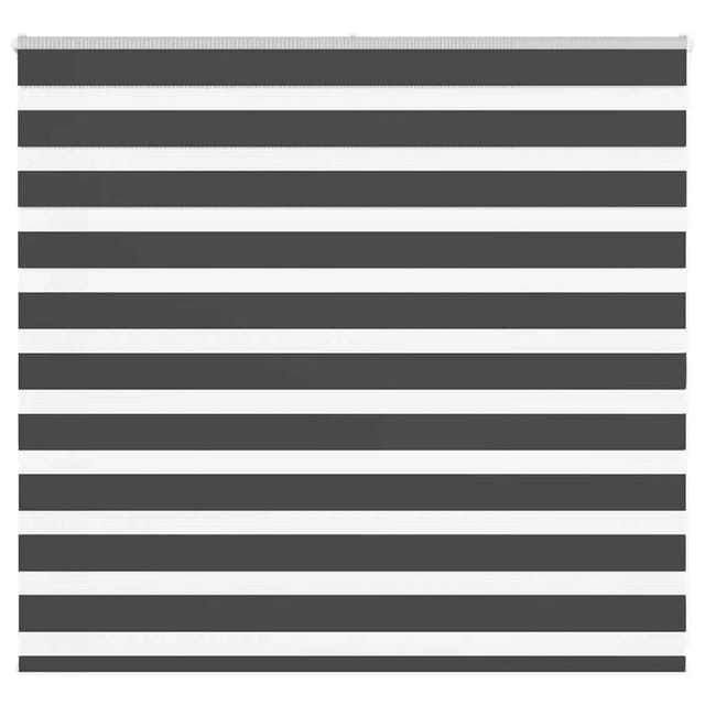 vidaXL Doppelrollo Schwarz 160x100 cm Stoffbreite 155,9 cm Polyester 4014221