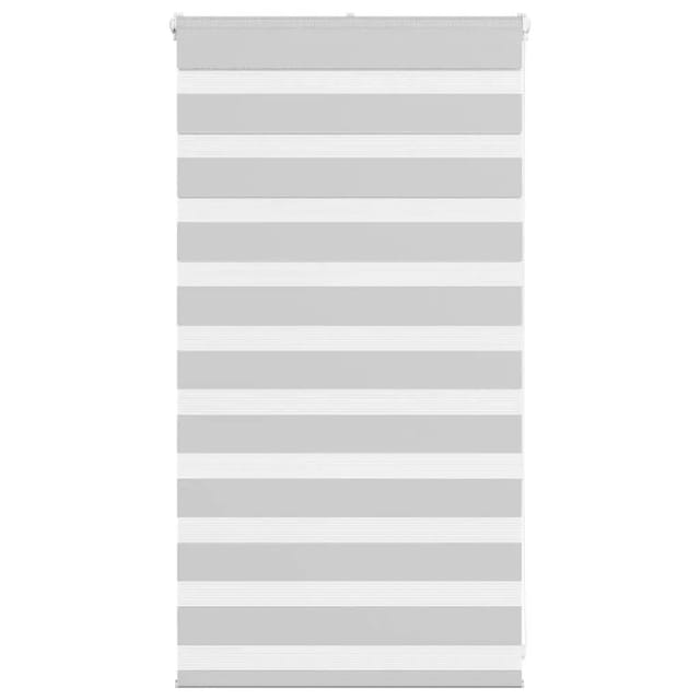 vidaXL Doppelrollo Hellgrau 80x100 cm Stoffbreite 75,9 cm Polyester 4014413
