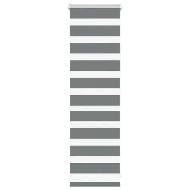 vidaXL Doppelrollo Dunkelgrau 50x100 cm Stoffbreite 45,9 cm Polyester 4014095