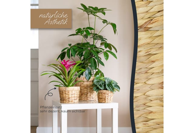 HMF 37280-14CM-S2 Innovativer Blumentopf Wasserhyazinthe Pflanztopf Rund 14 cm Durchmesser 2er Set