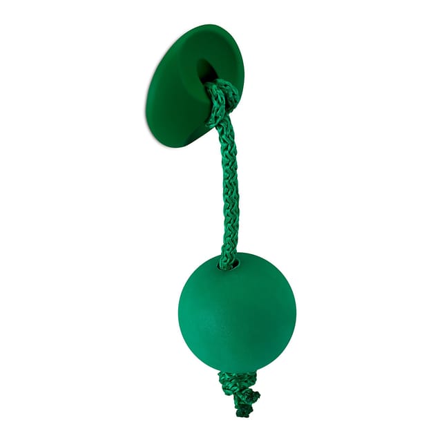 SOTECH Kindermöbelknopf CHAMÄLEON 30 x 98 x 28 mm Kunststoff Dunkelgrün