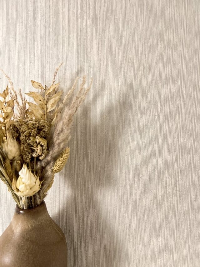 Newroom Vliestapete Raina Uni Beige Uni Modern FSC®