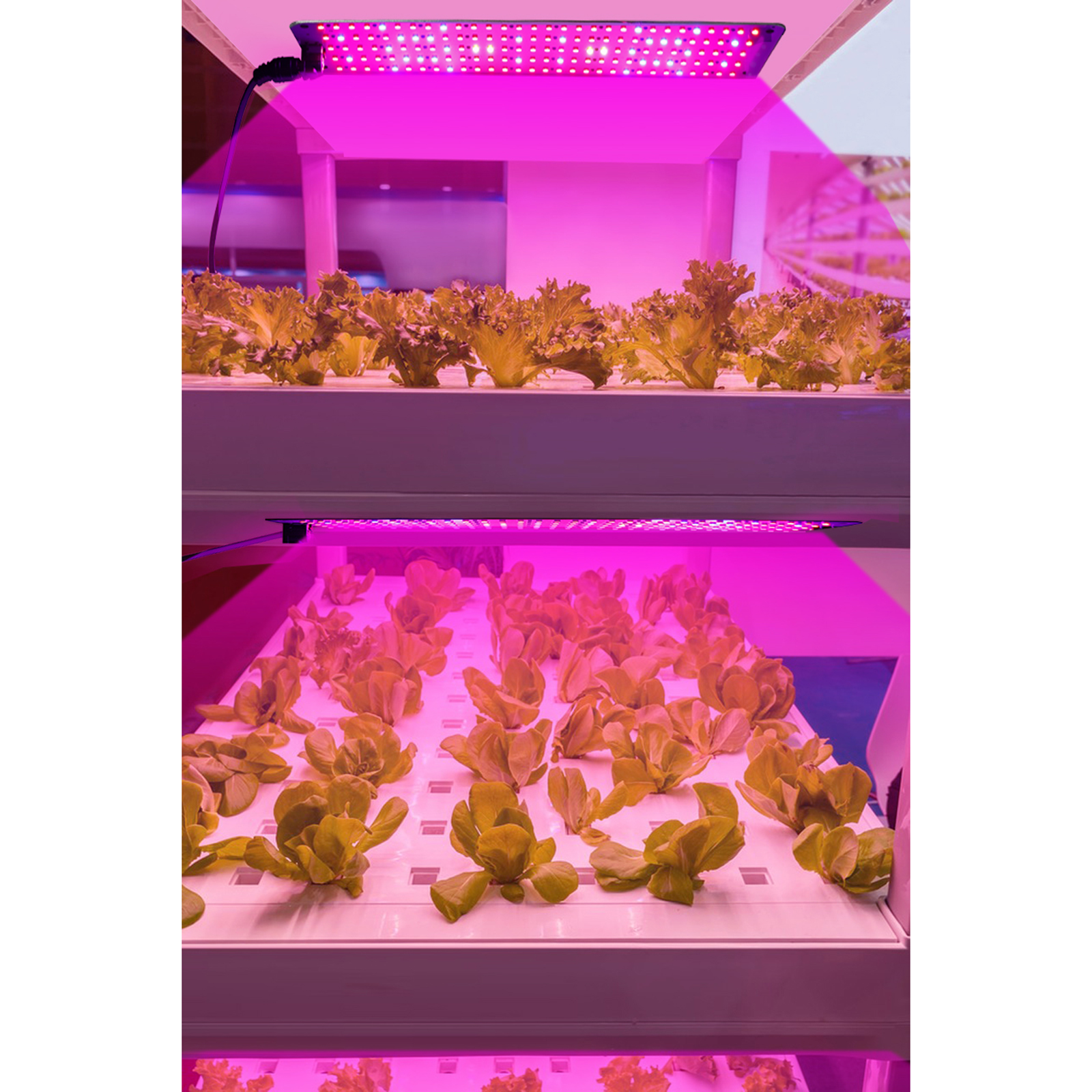 Vollspektrum-led-lichtpanel Für Das Pflanzenwachstum, Für Sämlinge, Gemüse, Blumen, Zimmerpflanzen, Wachstumspanel Mit Intelligentem 24-stunden-, 3/6/12-stunden-zyklus, 6 Variablen Intensitätsstufen,