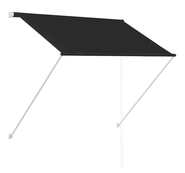 vidaXL Einziehbare Markise 100x150 cm Anthrazit 145891