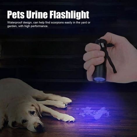 Uv-taschenlampe Zur Erkennung Von Haustierurinflecken, Ultraviolett-taschenlampe, Lichtdetektor