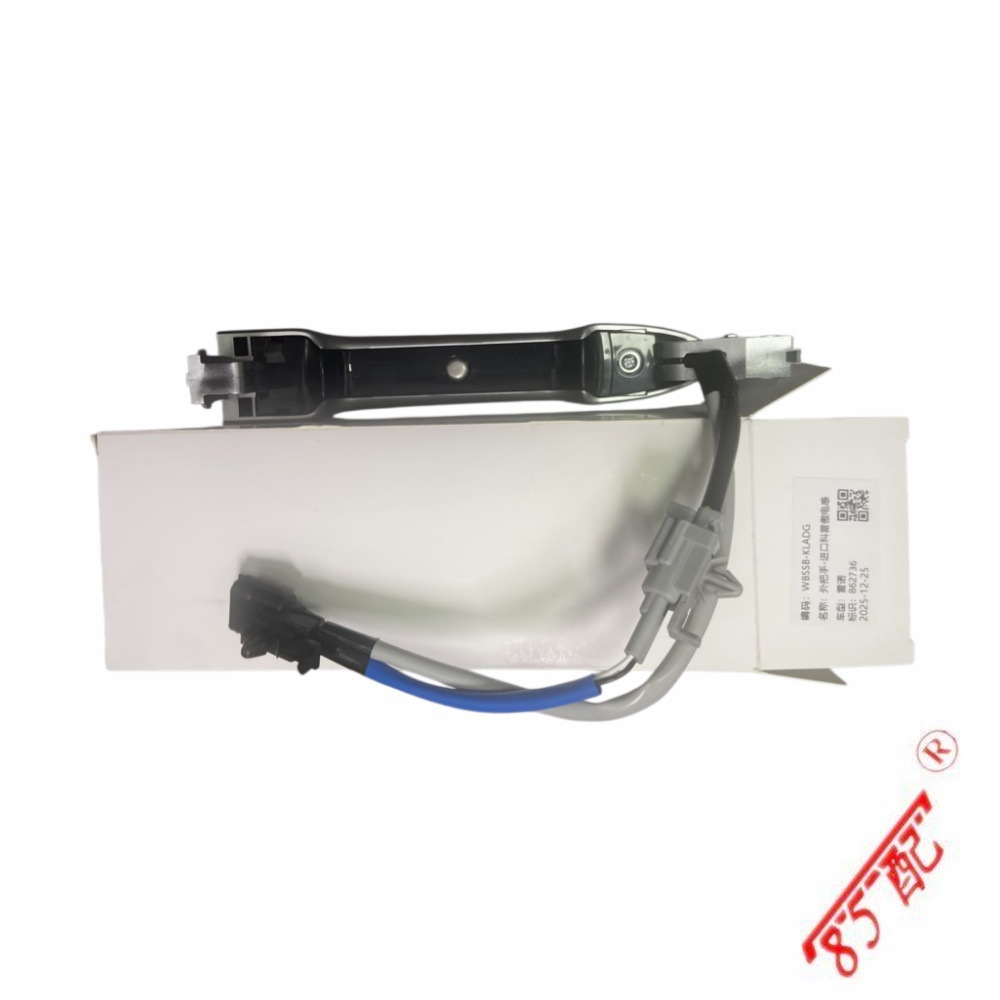 Gilt Für Renault Koleos Türgriff-induktoren 80640jy01b, 80640-jy01a, 80646 Und 80647.