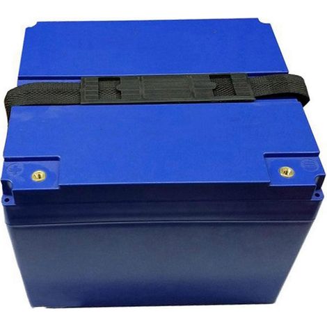 Netzteile Für 60v20a/72v20a Lifepo4 Limn2o4 Licoo2-batterien Von Herstellern
