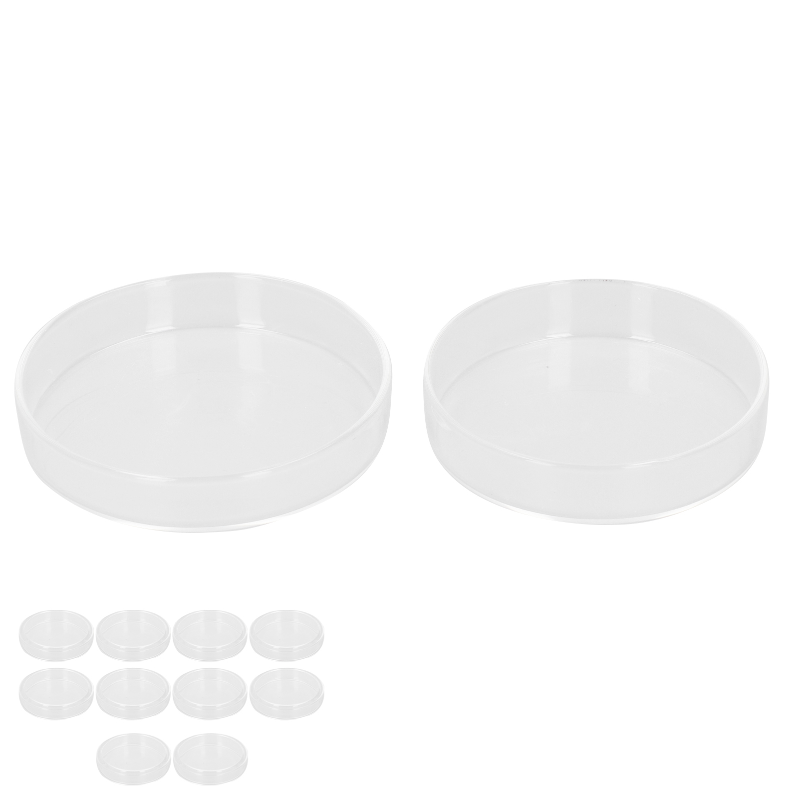Petrischalen Aus Borosilikatglas, Biochemische Laborplatten Mit Deckel, 10er-packung, Durchmesser 90 Mm, Sterilisierbar Und Wiederverwendbar.