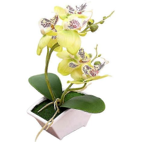 Künstliche Orchideen Im Topf, Partydekoration – Grün