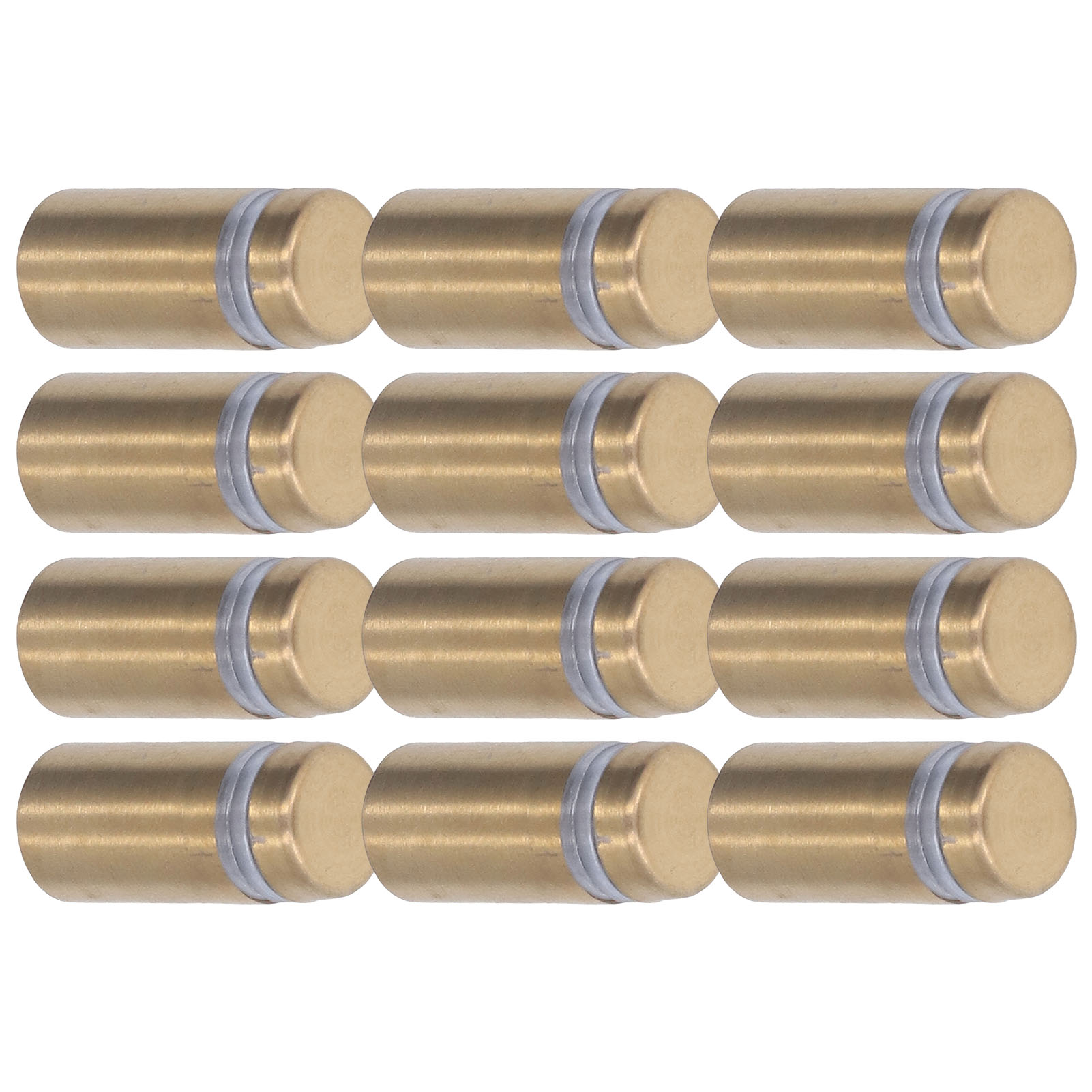 12 Edelstahl-befestigungsschrauben Für Acrylplatten, Wandschildernägel, Beschläge, 12x25mm, 12er-packung.