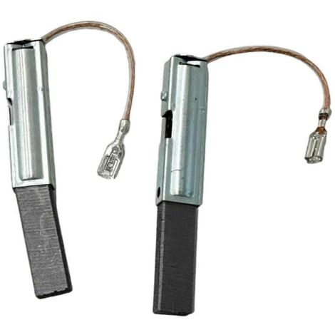 Satz Mit 2 Kohlebürsten 1619pa7345 Für Gas15 Staubsauger (farbfoto Zubehör)