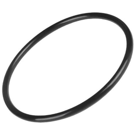 O-ring Für Filterkopf Für Swimclear C100s/c150s/c200s