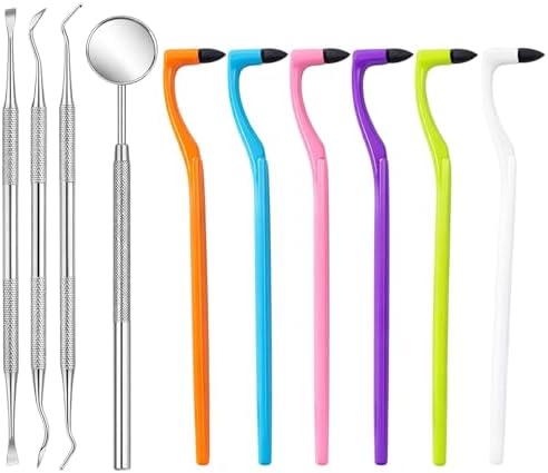 Zahnsteinentferner 10-teilig, Professionelles Zahnreinigungsset Mit Zahnpolierer Und Zahnstein Set, Effektive Zahnstein Entfernung Für Zahnpflege Und Zahnreinigung Zwischenräume, Inklusive 6 Zahnwerkz