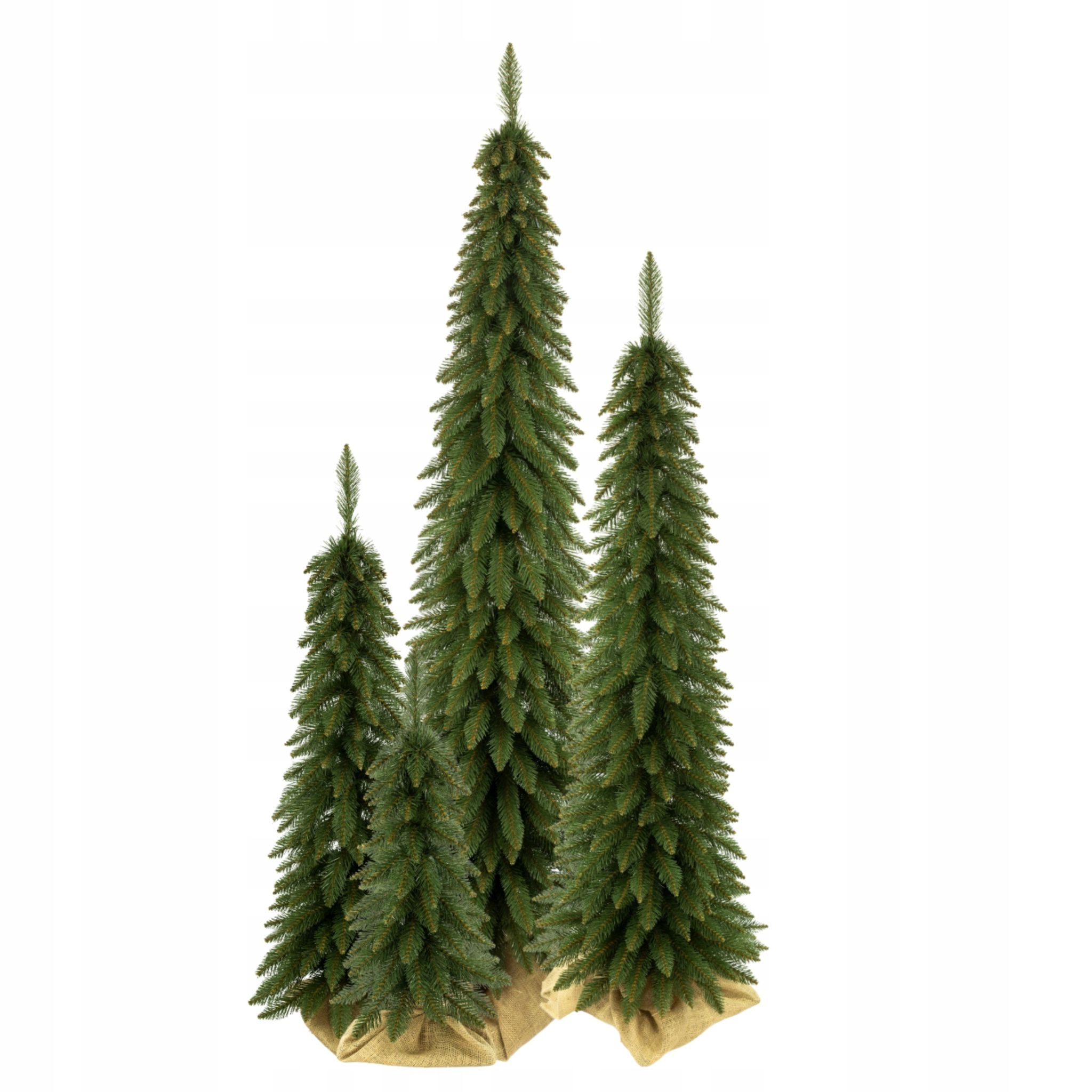 Ch. Schlank Grün 160cm
