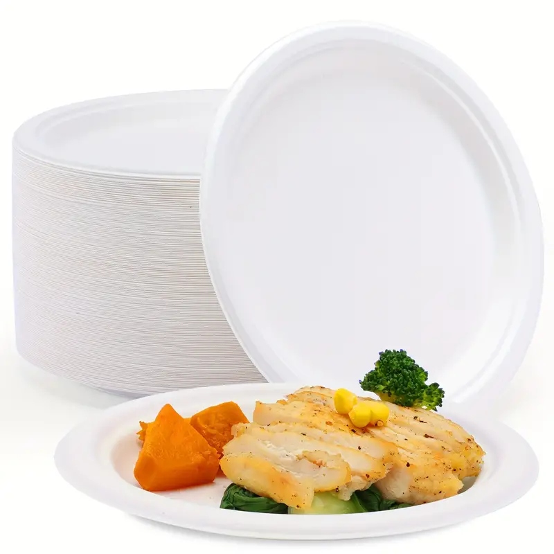 Einwegteller, Oval, Weiß, 32 Cm – 50 Stück – Einwegteller Aus Schilfrohr