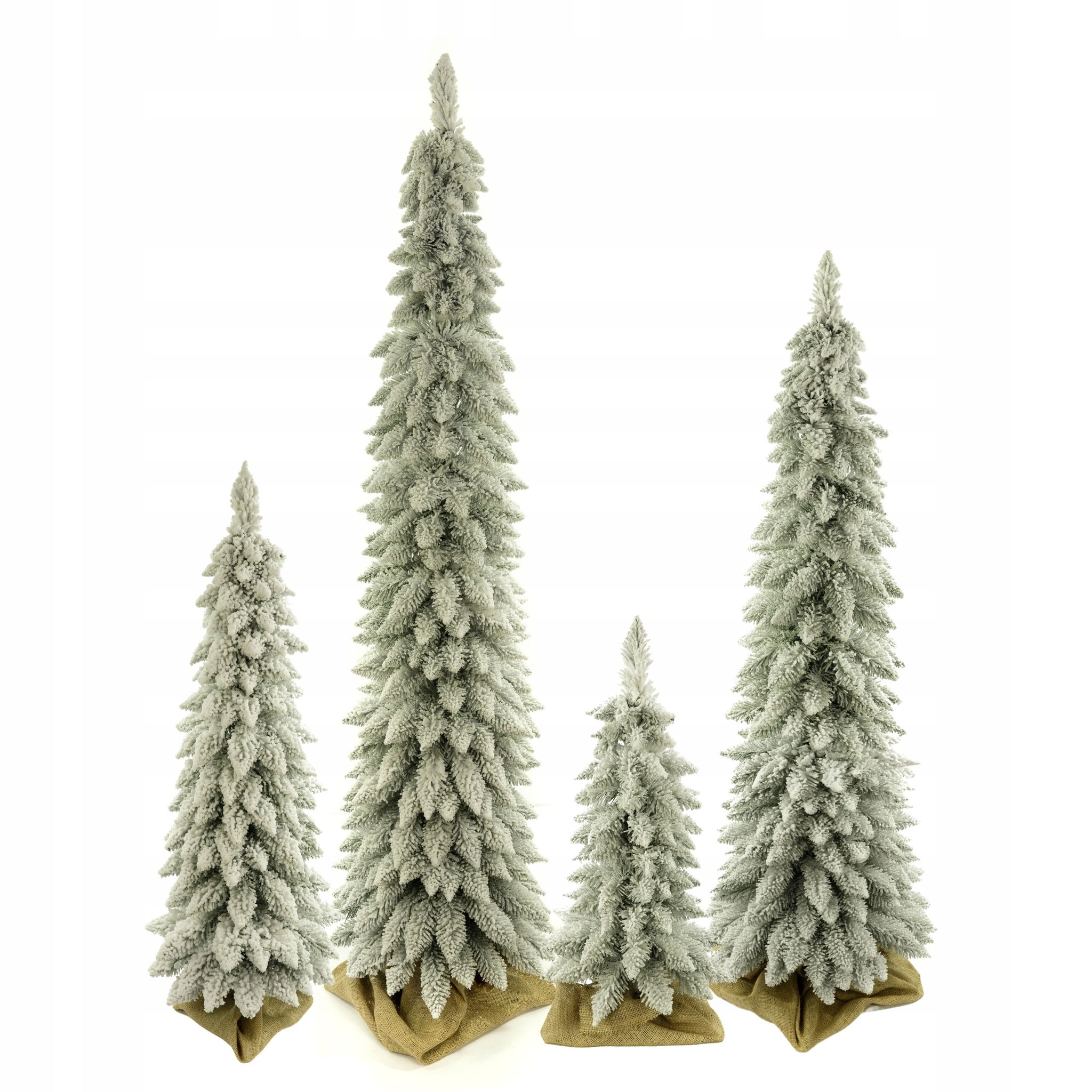 Ch. Schlanker Schnee 160 Cm