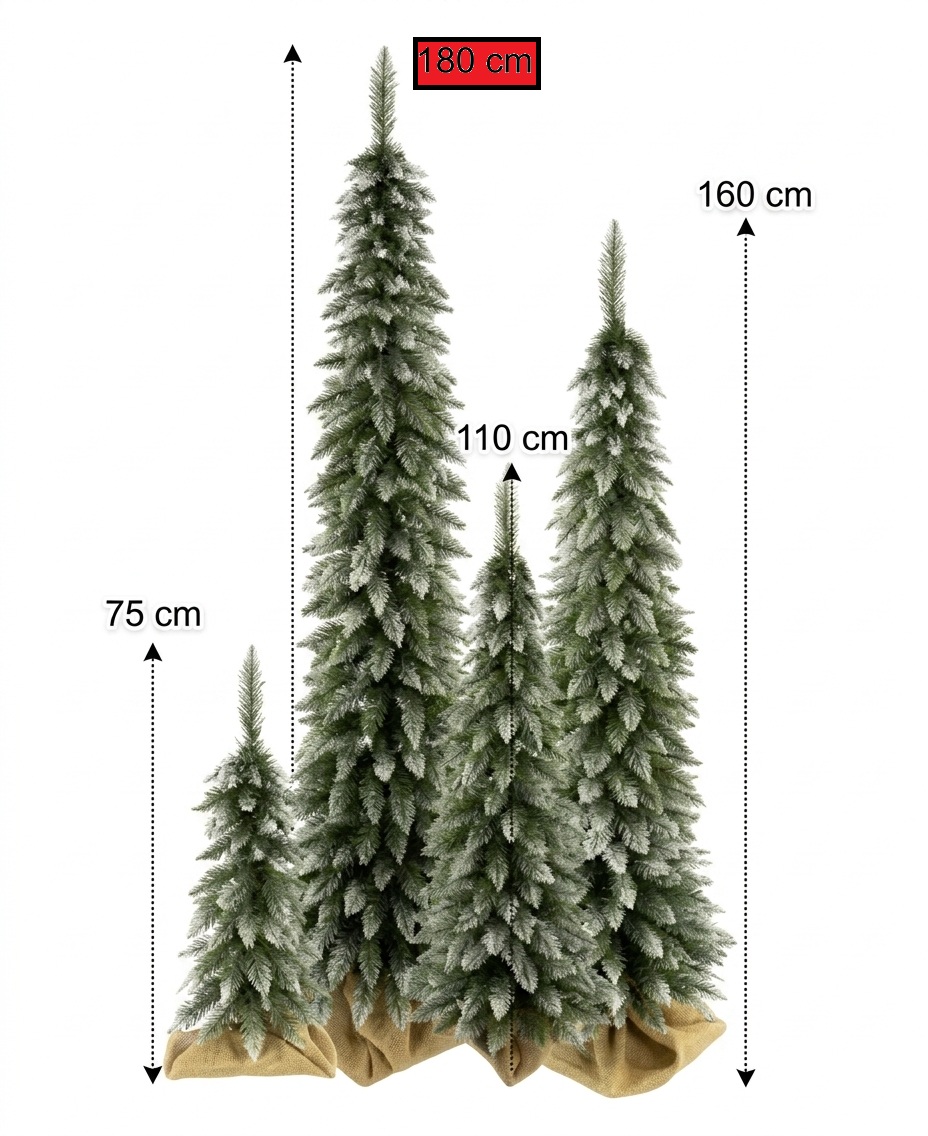 Ch. Schlank B/f 180cm