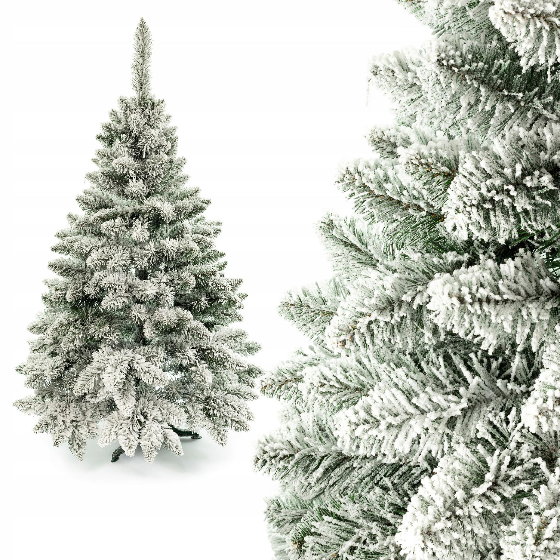 Ch. Kiefernschnee 120 Cm