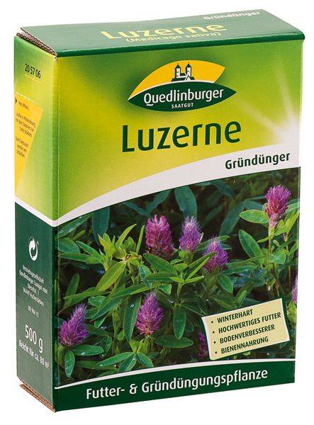 Quedlinburger Gründüngung Blaue Luzerne 500 G - Faltschachtel