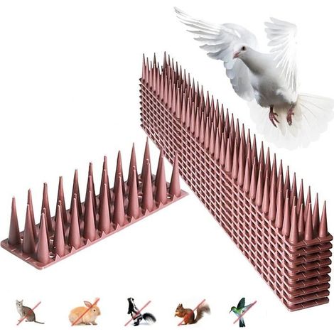 Taubenabwehrspitzen Für Balkone, 12 Stück – 4,3 M Lange Kunststoffspitzen – Vogelschutz – Für Fensterbänke Und Geländer