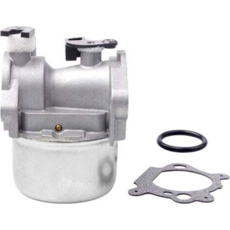 Aiperq – Vergaser Kompatibel Mit Briggs & Stratton Rasenmähern – Modelle 799871, 790845, 799866, 796707, 794304 – Kunststoff Und Metall