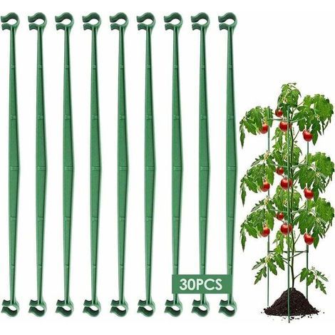 Linghhang – Packung Mit 30 Stabilen Pflanzenstützen Aus Kunststoff – 30 Cm Lang – Für Tomaten, Gurken Und Kletterpflanzen