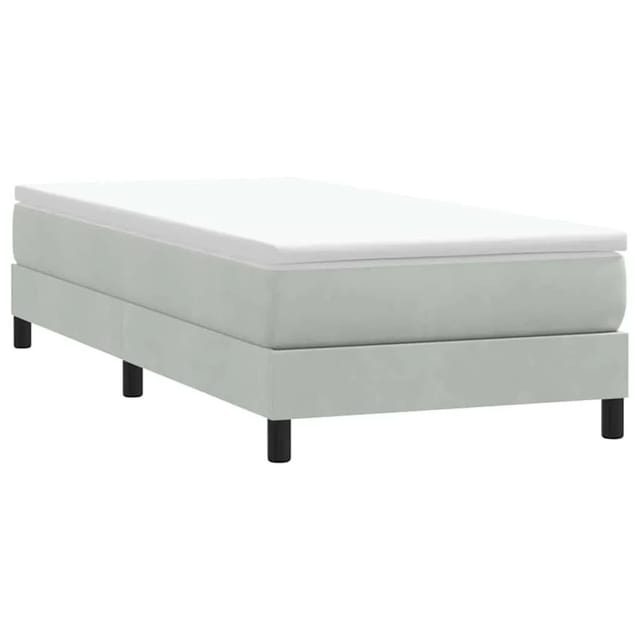 vidaXL Boxspringbett ohne Matratze Hellgrau 100x220 cm Samt 3315861