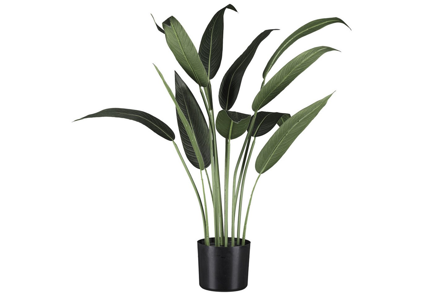 Künstliche Zimmerpflanze Wassercanna, Creativ green, Höhe 90 cm, mit üppigem Blattwerk