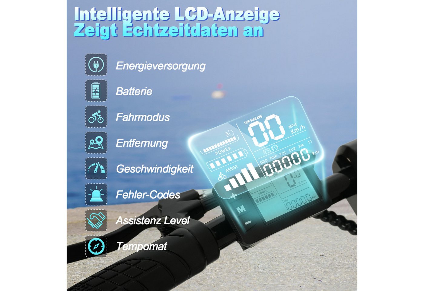 RAOO MIN E-Bike 250W Elektrofahrrad, max. 45km, 3 Fahrmodi, Scheibenbremsen, LCD Bild 4