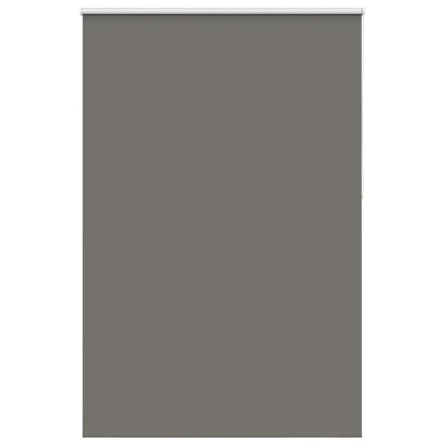 vidaXL Verdunkelungsrollo Grau 165x210cm Stoffbreite 161,6cm Polyester 4011193