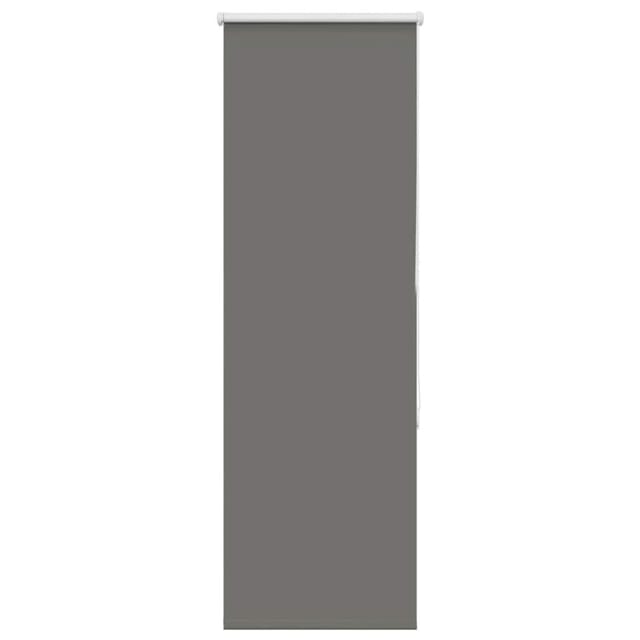 vidaXL Verdunkelungsrollo Grau 55x175 cm Stoffbreite 50,7 cm Polyester 4011145