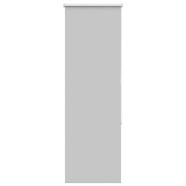 vidaXL Verdunkelungsrollo Hellgrau 60x175 cm Stoffbreite 55,7 cm 4011406