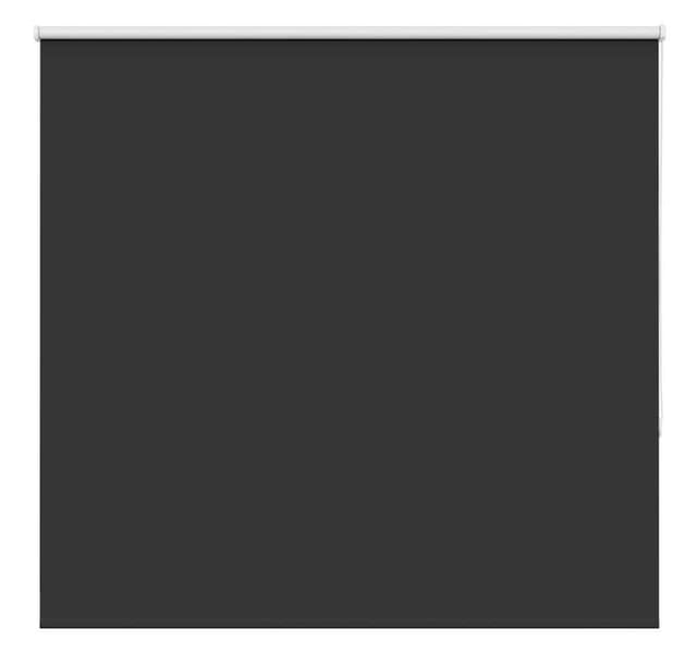 vidaXL Verdunkelungsrollo Schwarz 160x175 cm Stoffbreite 156,6 cm 4010906