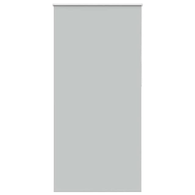 vidaXL Verdunkelungsrollo Hellgrau 110x210cm Stoffbreite 105,7cm 4011442