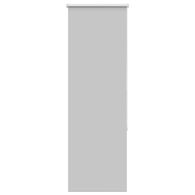 vidaXL Verdunkelungsrollo Hellgrau 40x150cm Stoffbreite 35,7cm 4011376