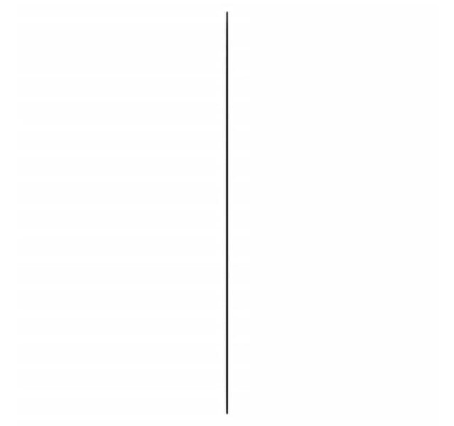 vidaXL Wandspiegel 45x100 cm Glas Oval 350458